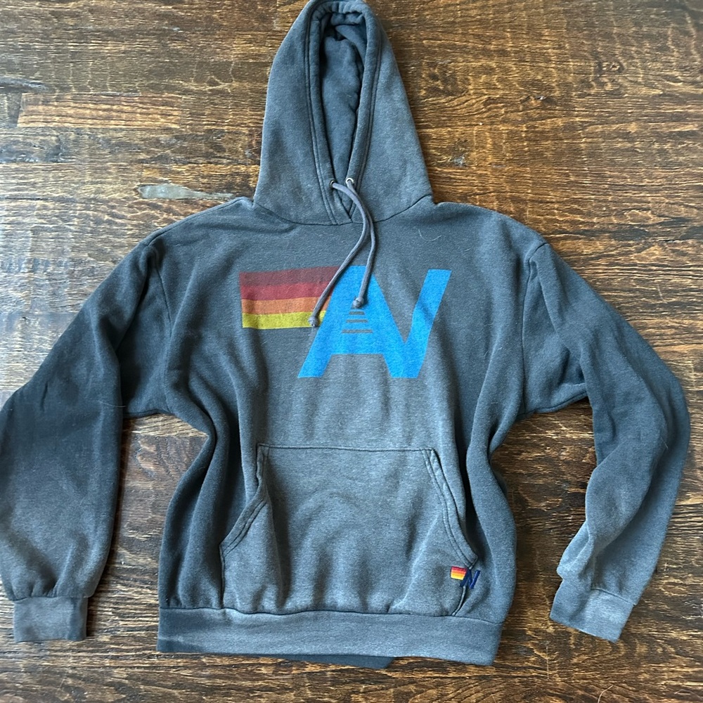 Aviator Nation Gray and Blue Graphic Hoodie